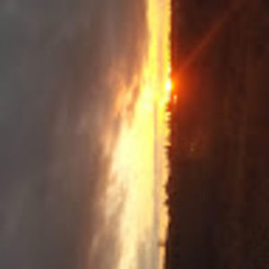 Meet your Posher, Riley